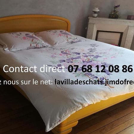 La Villa Des Chats Andresy ภายนอก รูปภาพ