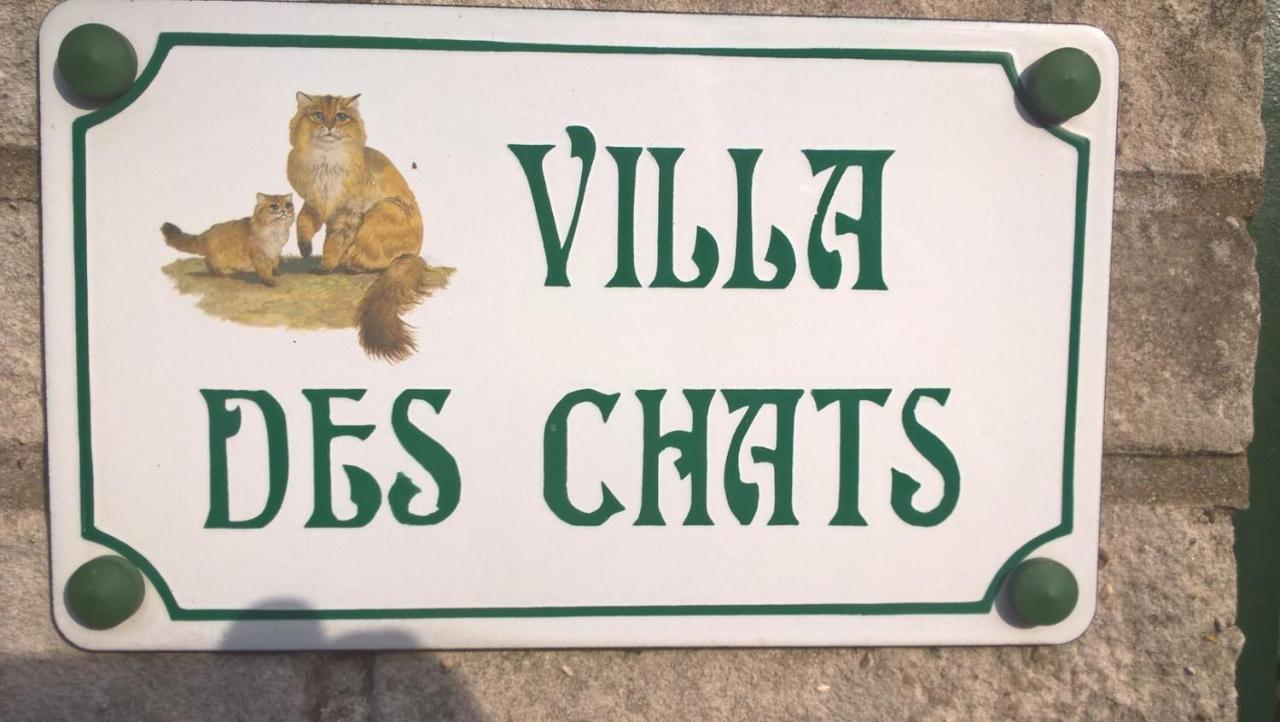 La Villa Des Chats Andresy ภายนอก รูปภาพ