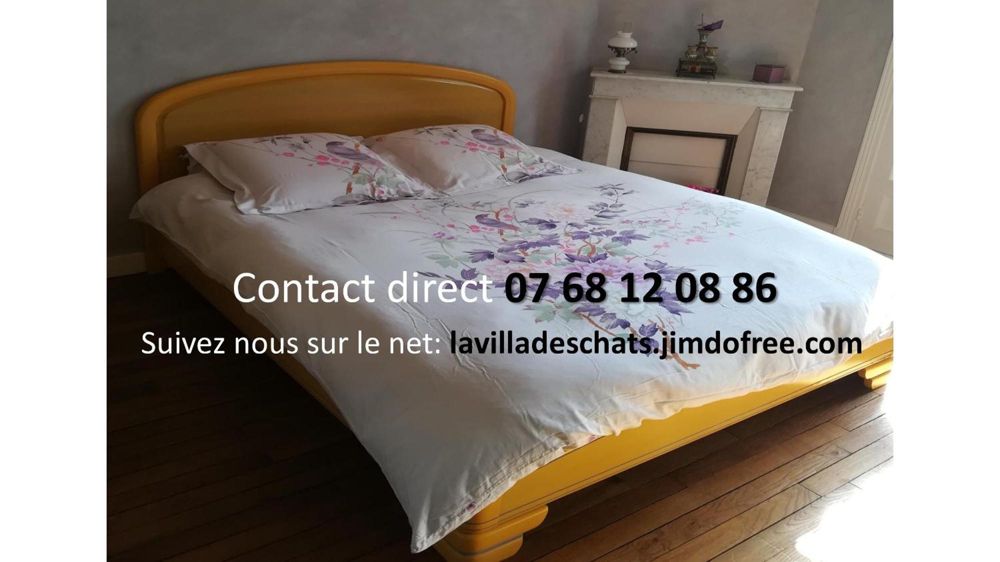 La Villa Des Chats Andresy ภายนอก รูปภาพ
