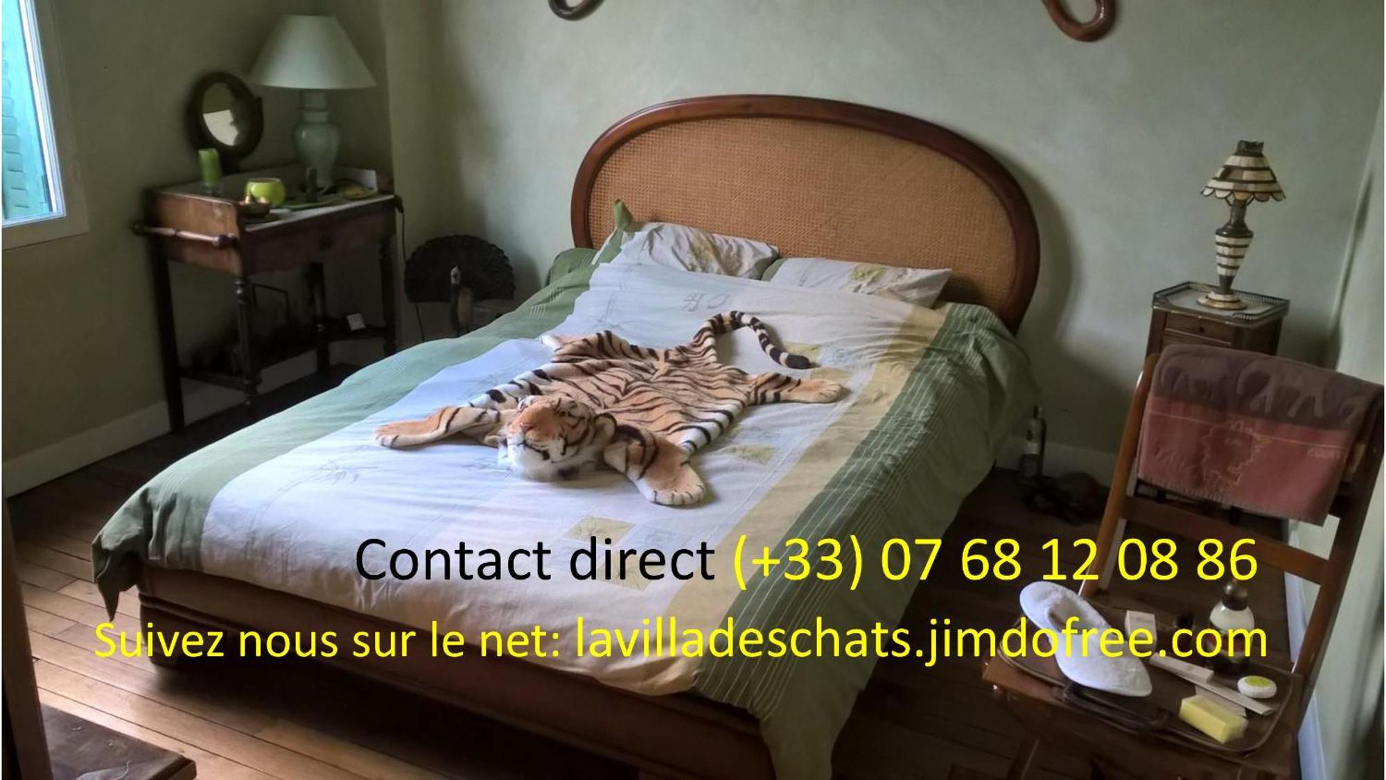 La Villa Des Chats Andresy ภายนอก รูปภาพ